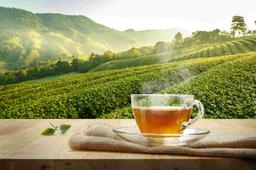 [object Object] Görseli