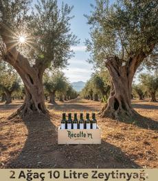 [object Object] Görseli