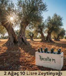 [object Object] Görseli