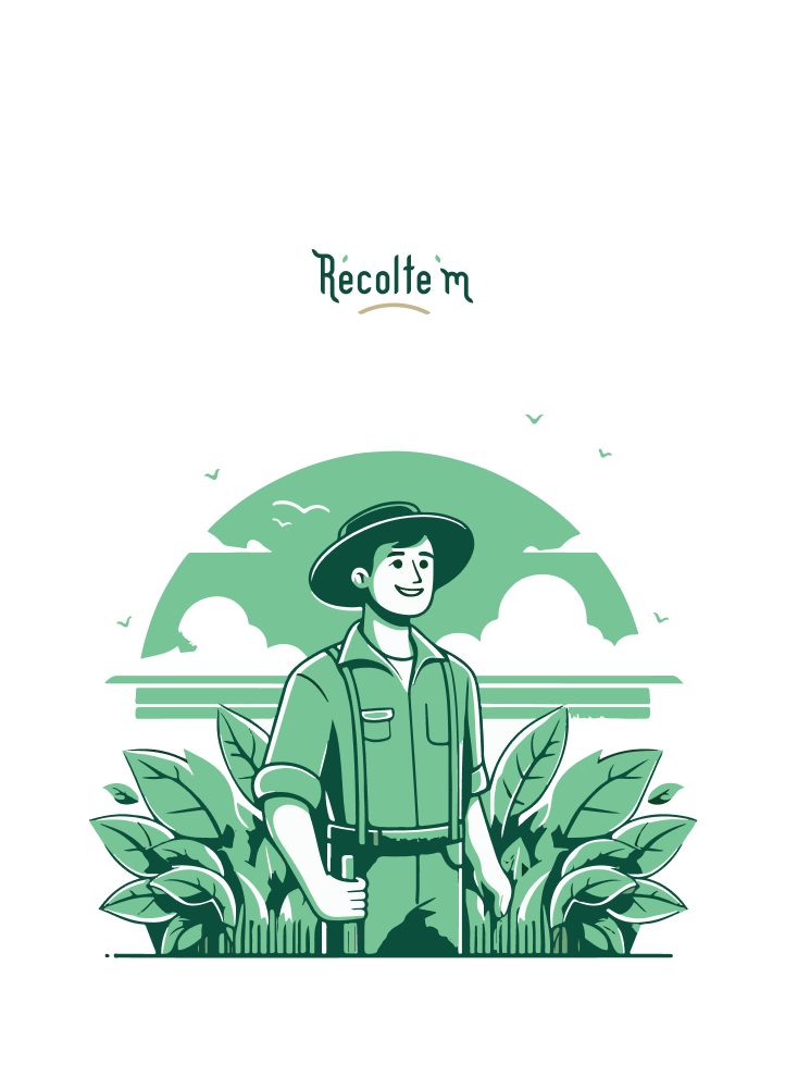 character-illustration